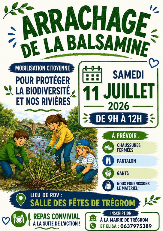 balsamine
